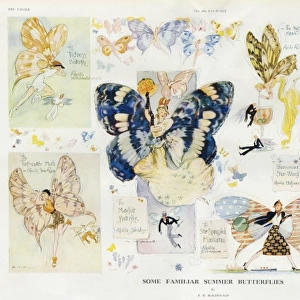 Some Familiar Summer Butterflies by A. K. Macdonald