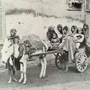 Family Conveyance in Cairo, Egypt