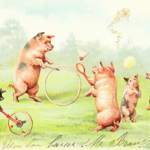 Family of pigs at play on a postcard