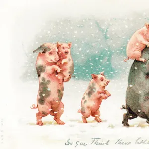 Family of pigs in the snow on a Christmas postcard