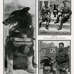A famous mascot - Captain Scott dog joins the Army