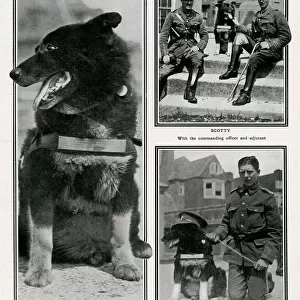 A famous mascot - Captain Scott dog joins the Army