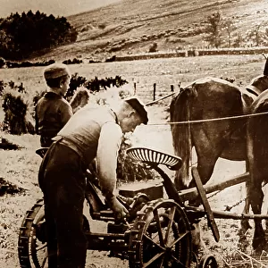 Farming in the Highlands of Scotland, early 1900s