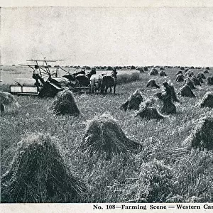 Farming Scene in Western Canada