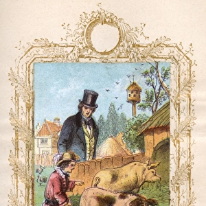 Father and son with pigs