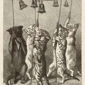Feline Bell-Ringers 1875
