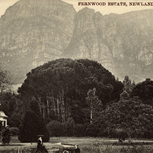 Fernwood Estate, Newlands, Cape Town, South Africa
