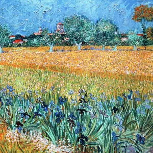 Field with Flowers near Arles by Van Gogh