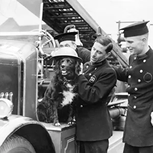 Firefighters with their dog mascot, WW2