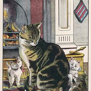 Fireside Cat & Kittens