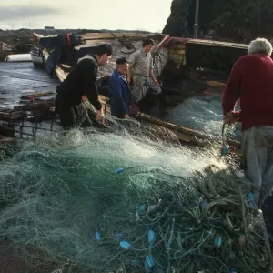 Fishermen pull nets ashore onto quayside, Donegal, Ireland Fishermen pull nets ashore onto quayside, Donegal, Ireland
