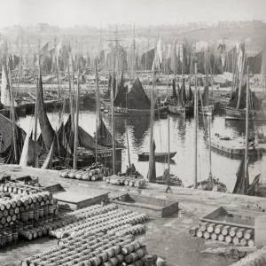 Fishing boats in harbour, barrrels of Herring fish, Wick, Sc