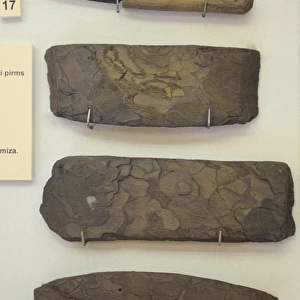 Fishing tools. 12th-13th centuries. Latvia