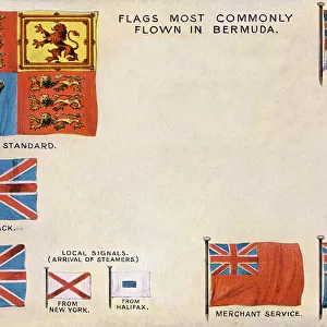 Flags most commonly flown in Bermuda