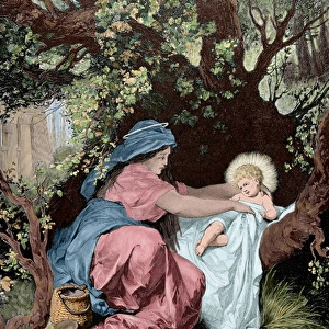 Flight into Egypt. Engraving. Colored