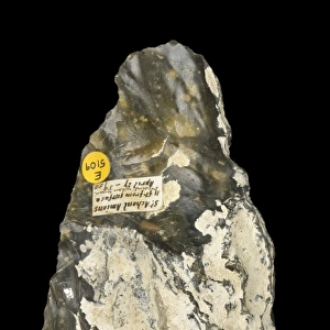 Flint hand axe