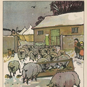 Flock of Sheep in Snow