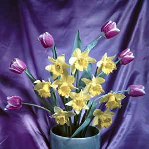 Flower arrangement with daffodils and tulips
