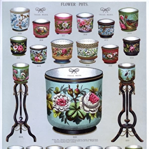 Flower Pots, Plate 64
