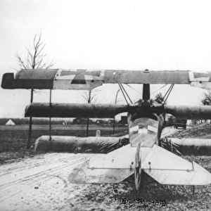 Fokker DrI, rear, (on the ground)