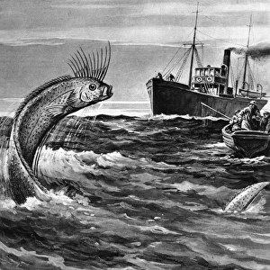 Folklore / Sea Serpent