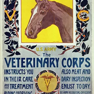 Are you fond of horses - US Army - The Veterinary Corps inst