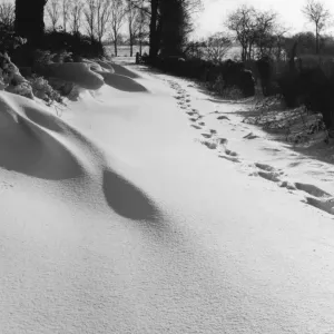 Footprints in the Snow Footprints in the Snow