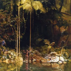 Forest Mirror, Queensland, Charles E Gordon Frazer Forest Mirror, Queensland, Charles E Gordon Frazer