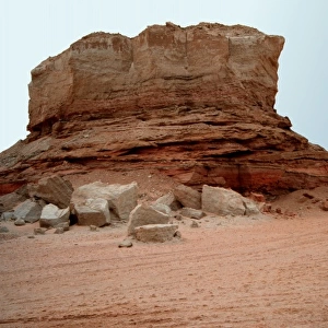 Fossil bearing rocks, Abu Dhabi