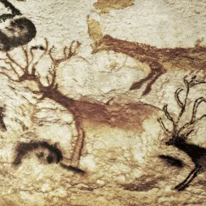 FRANCE. Montignac. The Cave of Lascaux. Hall of