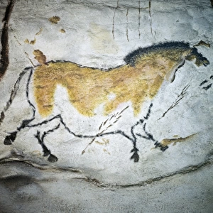 FRANCE. Montignac. The Cave of Lascaux. Horses