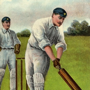 Fred Howard. Cricket 4
