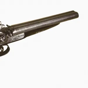 Frenc gun (19th c. )