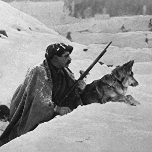 A French alpine soldier on sentry duty with his Eskimo sent