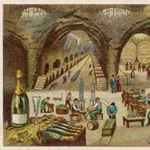 French Champagne Cellars