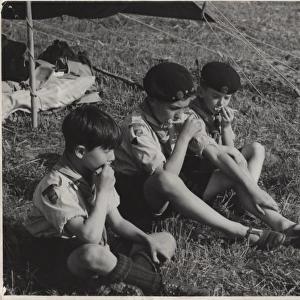 French cubs or scouts at camp