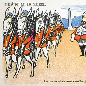 French satire on the Boer War - Victoria sending out Mules