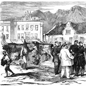 French troops in Cape Town 1860