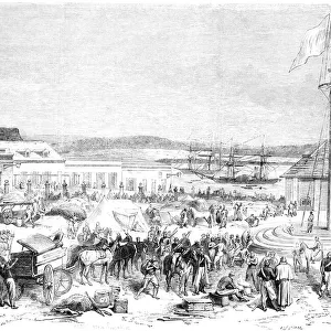 French troops at Tampico