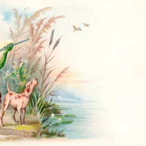 Frog huntsman and dog on a greetings postcard