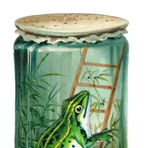 Frog in a jar on a cutout greetings card