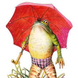 Frog with red umbrella on a cutout greetings card