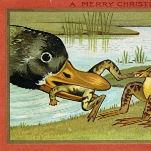 Frog rescue on a Christmas and New Year card