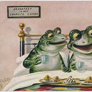 Frogs / Breakfast in Bed
