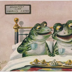 Frogs / Breakfast in Bed