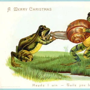 Two frogs fighting over a snail on a Christmas card