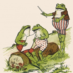 Frogs as Humans (2 of 5)