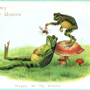 Two frogs with insect on a greetings card