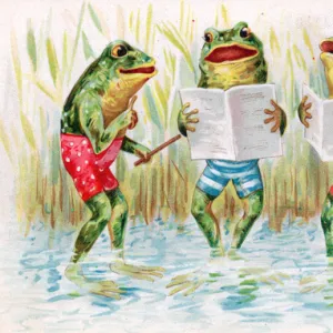 Three frogs learning how to swim on a greetings postcard