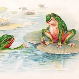 Two frogs in lily pond on a postcard